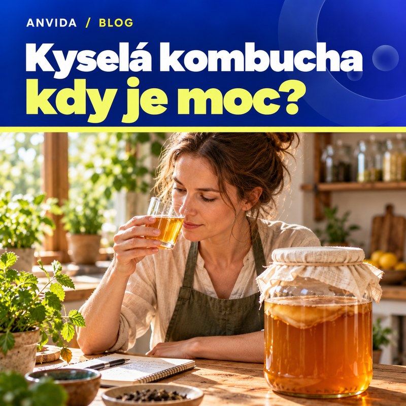 Kyselá kombucha: kdy je v pořádku a kdy už je moc