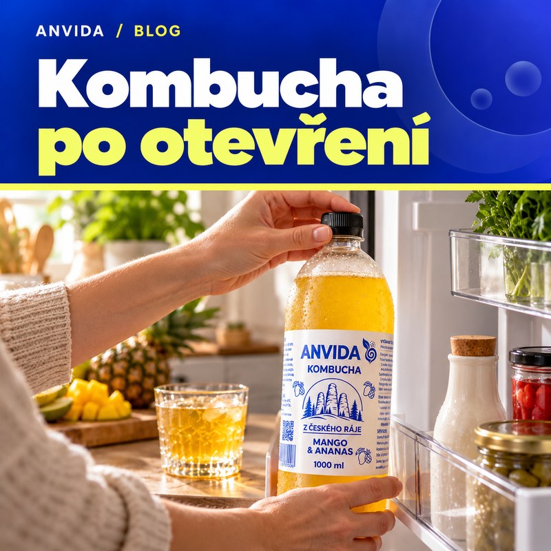 Kombucha po otevření: jak skladovat, jak dlouho vydrží a proč ztrácí perlivost